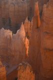 Navajo Loop Trail