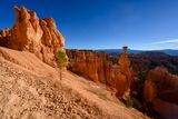 Navajo Loop Trail