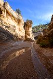 Willis Creek Slot Canyon