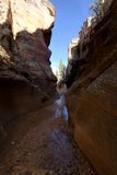 Willis Creek Slot Canyon