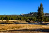 Tuolumne Meadows