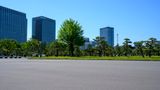 Imperial Palace Garden