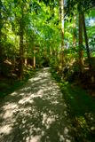 Visiting the Okochi Sanso Garden