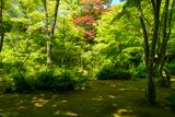 Okochi Sanso Garden