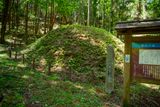 Yasezawa Milestone