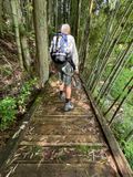 Slippery Wooden trail