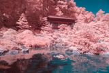 In Infrared