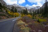 Some Fall colors