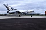 RAG Tornado F3 ZE838 25 Sqn.jpg