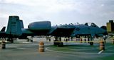 USAF A-10A 80-194 SW 20 FW.jpg