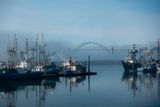 Newport again
