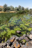 Thousand Springs, Idaho