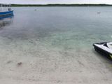 100_0005.JPG