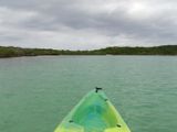 100_0014.JPG