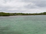 100_0017.JPG