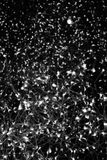DSCF7080.jpg