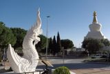 DSCF0462.jpg