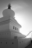 DSCF0527.jpg