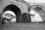 DSCF1270.jpg