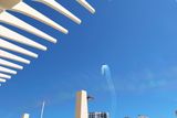 DSCF1478.jpg