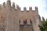 DSCF7537.jpg