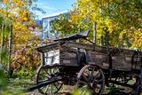 Horse drawn spring seat wagon.jpg