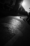L6003654.jpg