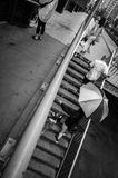 L6004739.jpg