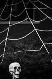 L6006628.jpg