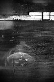 L7005078.jpg