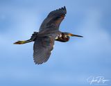 Topside view