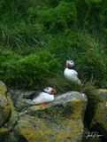 Perched on the cliffs