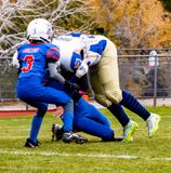 IMG_1173.jpg