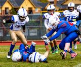 IMG_2048.jpg