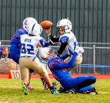 IMG_2073.jpg