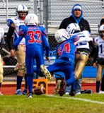 IMG_2341.jpg