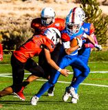 IMG_0084.jpg