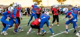 IMG_2792.jpg