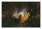 Cave Nebula