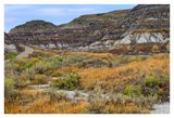 Alberta Badlands