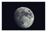 Beaver Moon