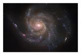 M101