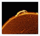 The Sun in Hydrogen Alpha