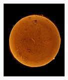 The Sun in Hydrogen Alpha with Solar Prominence