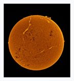 The Sun in Hydrogen Alpha with Solar Prominence