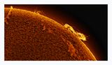 The Sun in Hydrogen Alpha with Solar Prominence