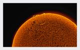 The Sun in Hydrogen Alpha with Solar Prominence