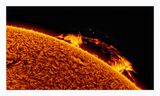 The Sun in Hydrogen Alpha with Solar Prominence
