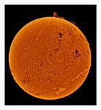 The Sun in Hydrogen Alpha with Solar Prominence