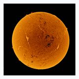 The Sun in Hydrogen Alpha